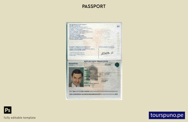 Plantilla de pasaporte de Francia lista para imprimir